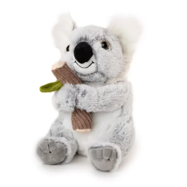 Pliašana koala