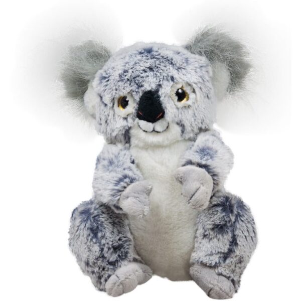 plisana koala